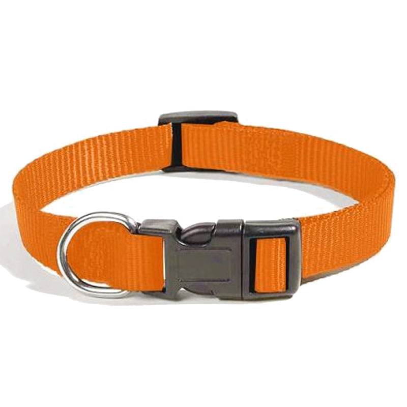 Collier pour Chien ZANILOVE 10mm - Orange