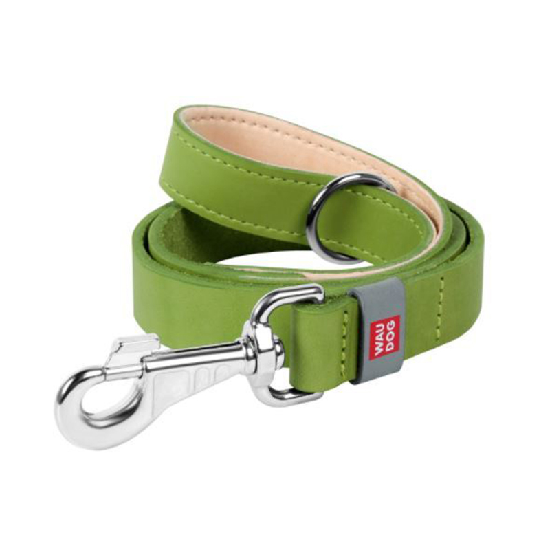 Laisse Cuir Classic 14mm Pour Chien - Vert