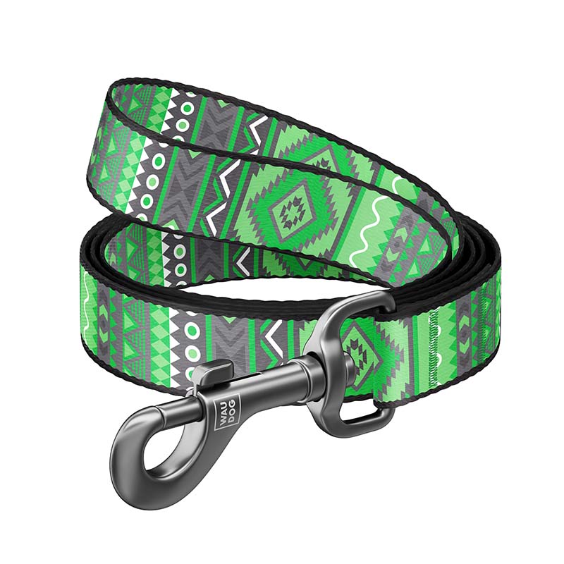 Laisse Nylon ENTO 15mm Pour Chien - Vert