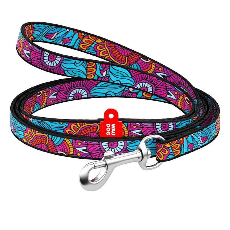 Laisse Nylon SUMMER 10mm Pour Chien - Assortis