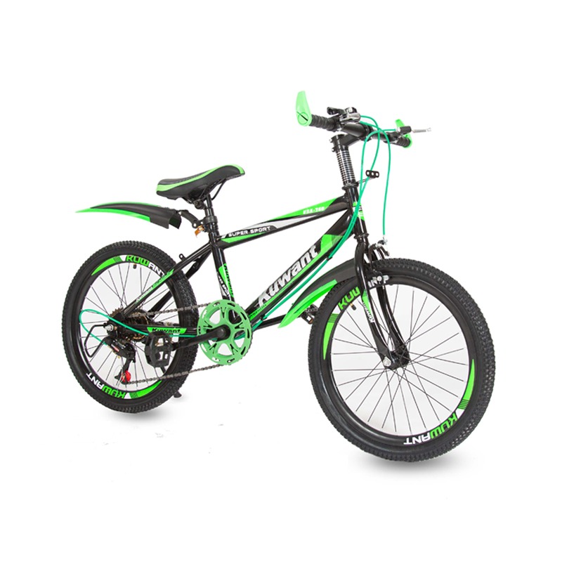 Bicyclette Pour Enfant KUWANT GT-ZH-D01-V 20" – Vert