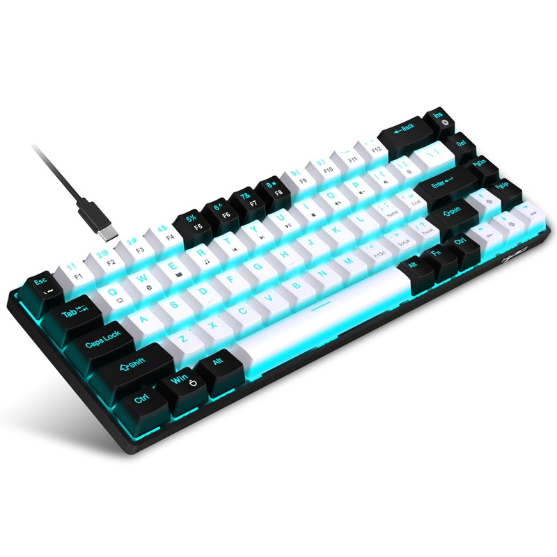 Clavier Gamer HXSJ Filaire Mécanique V800 - Blanc&Noir