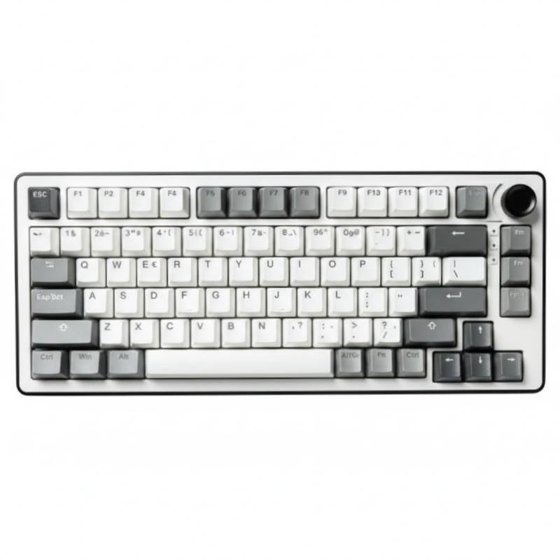 Clavier Sans Fil Gaming G-LAB keys Elite 300 RGB - Blanc et Gris