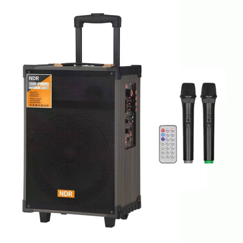 Haut Parleur Double Mode NDR NDB-V12 Avec telecommande et 2 micros  - Noir