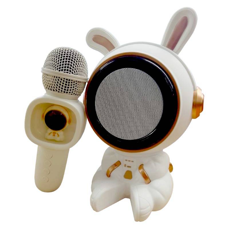 Haut Parleur Sans Fil 10 watts Avec Microphone - Blanc
