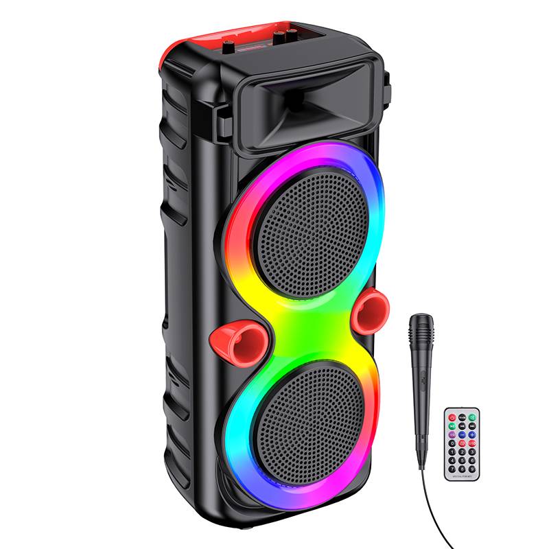 Haut Parleur Sans Fil KAKUSIGA 30W Avec Micro et Télécommande