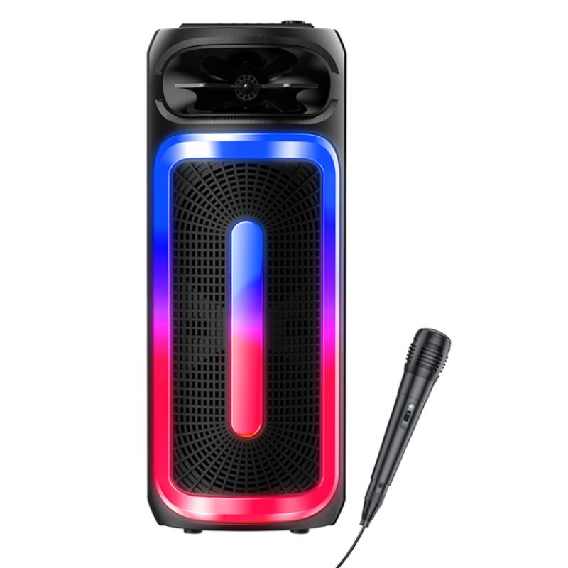 Haut Parleur Sans Fil kakusiga KK-8209 20W Avec Micro - Noir