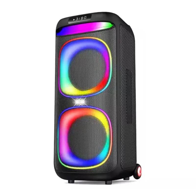 Haut Parleur Sans Fil kakusiga KK-8212 60W Avec Micro et Télécommande - Noir