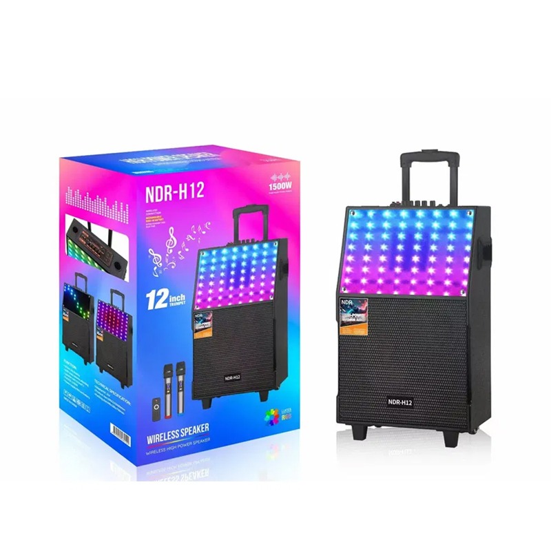 Haut parleur Sans Fil NDR H12 Avec Télécommande Et 2 Micro - Noir