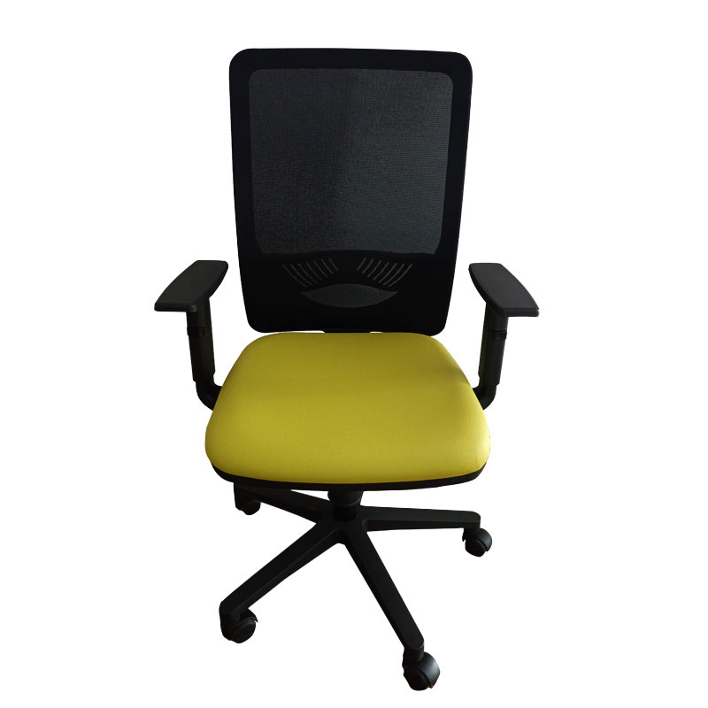 Fauteuil Opérationnel DUKE En Simili Cuir Avec Accoudoirs Réglable - Vert Pistache