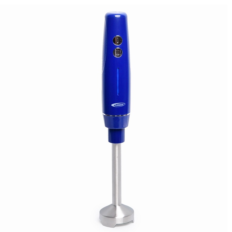 Mixeur Plongeant FLORENCE HK404 250W - Bleu