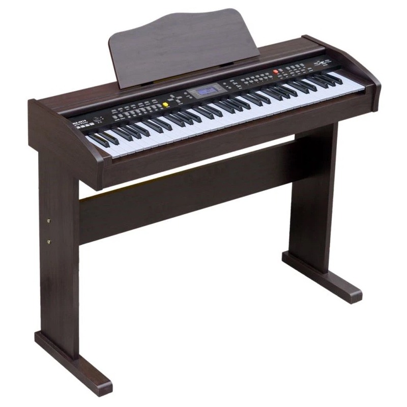 Orgue Numérique MLS-9919 Avec Écran LCD - Noir