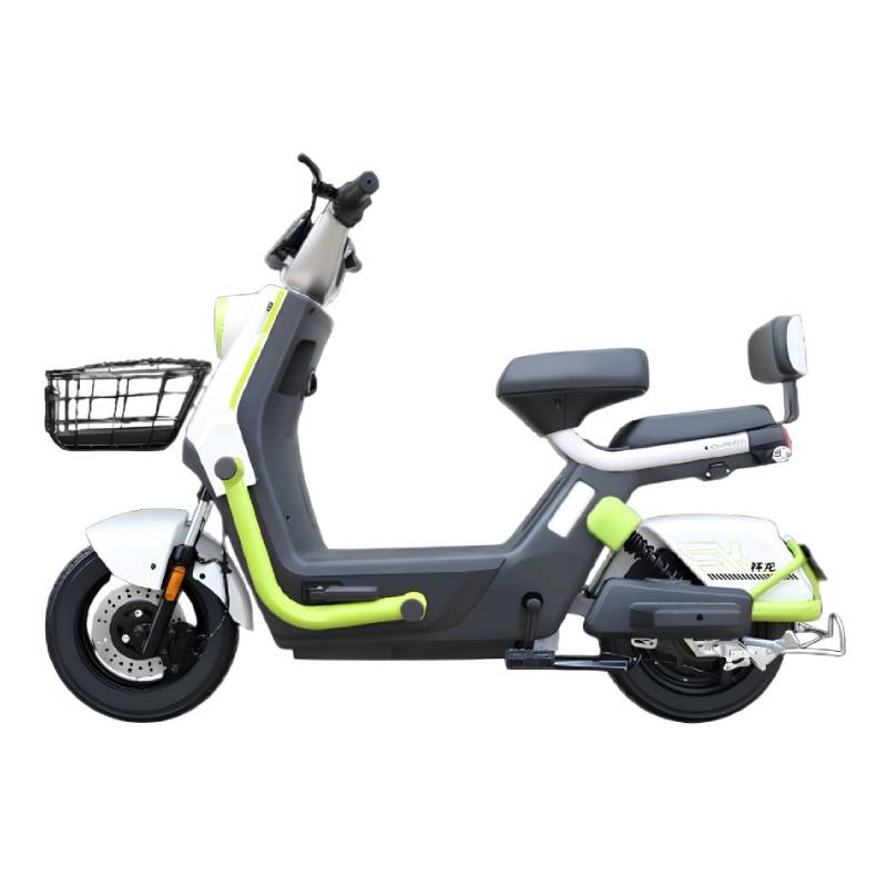 Scooter Électrique ECORIDE ALPHA-VERT 1000 Watts - Vert Pistache