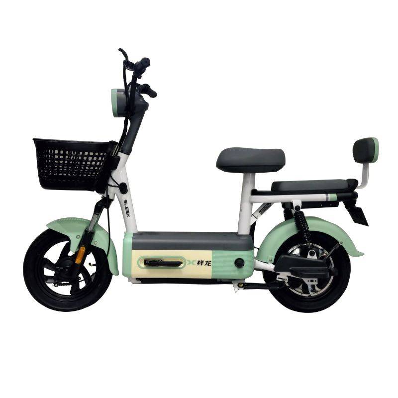 Scooter Électrique ECORIDE ZEN 600 Watts - Vert et Blanc