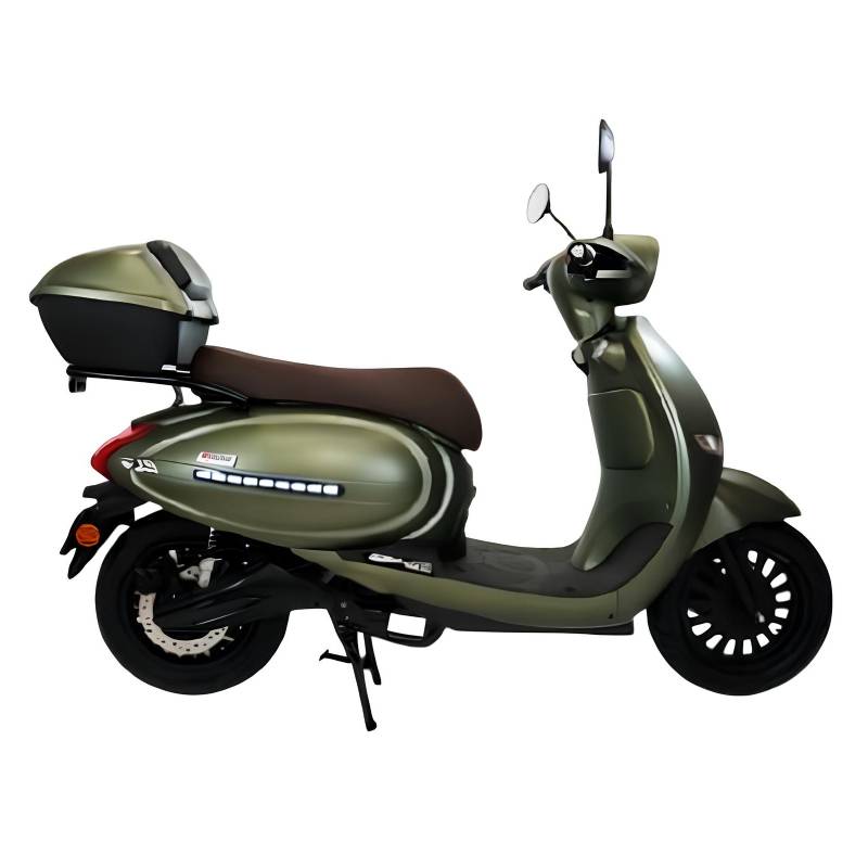 Scooter Électrique City Bike 50CC 3000W - Vert