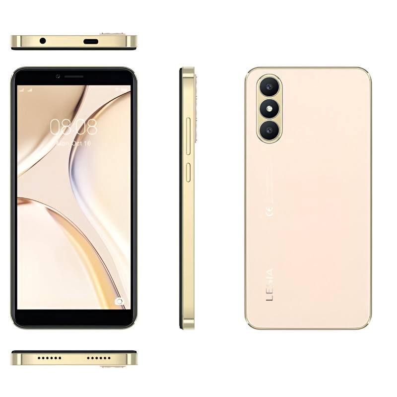 Smartphone LESIA YOUNG 6 4Go 16Go - Gold