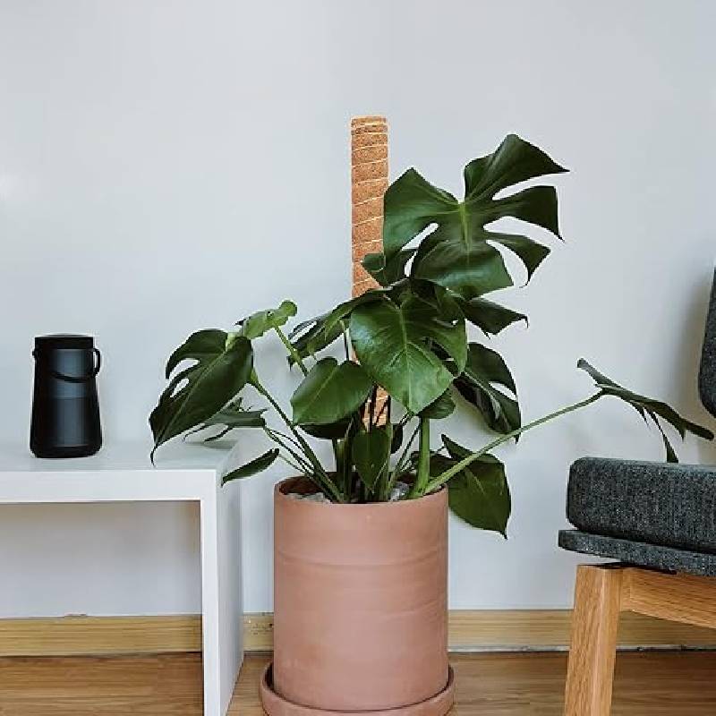 Support Tuteur Pour Plantes NORTENE Coco 100 cm