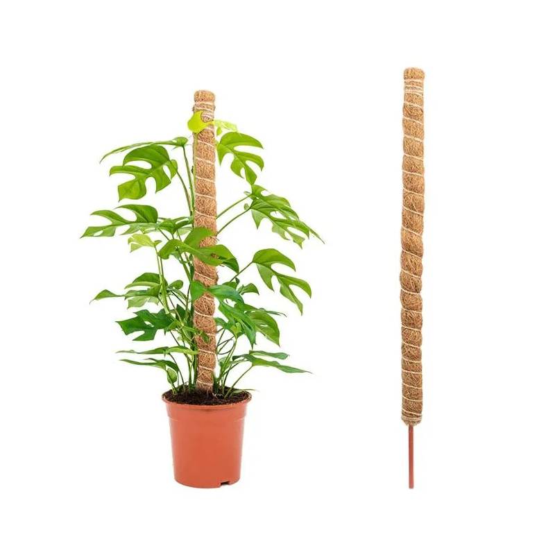 Support Tuteur Pour Plantes NORTENE Coco 150 cm