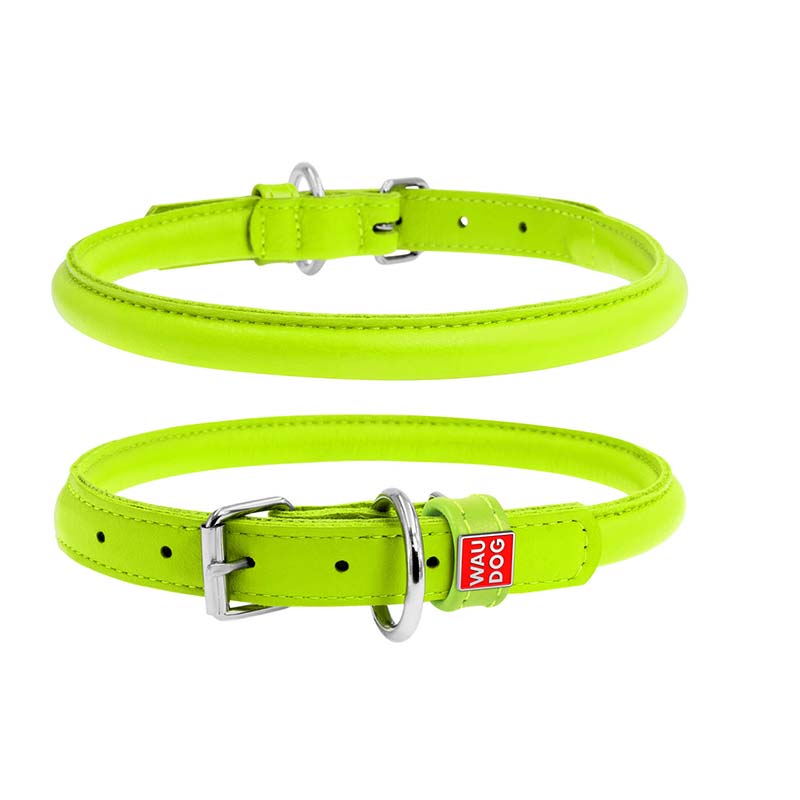  Collier ROND GALMOUR Pour Chien 33-41 Cm - Vert