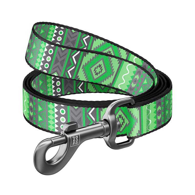 Laisse Nylon INDIE 10mm Pour Chien - Vert