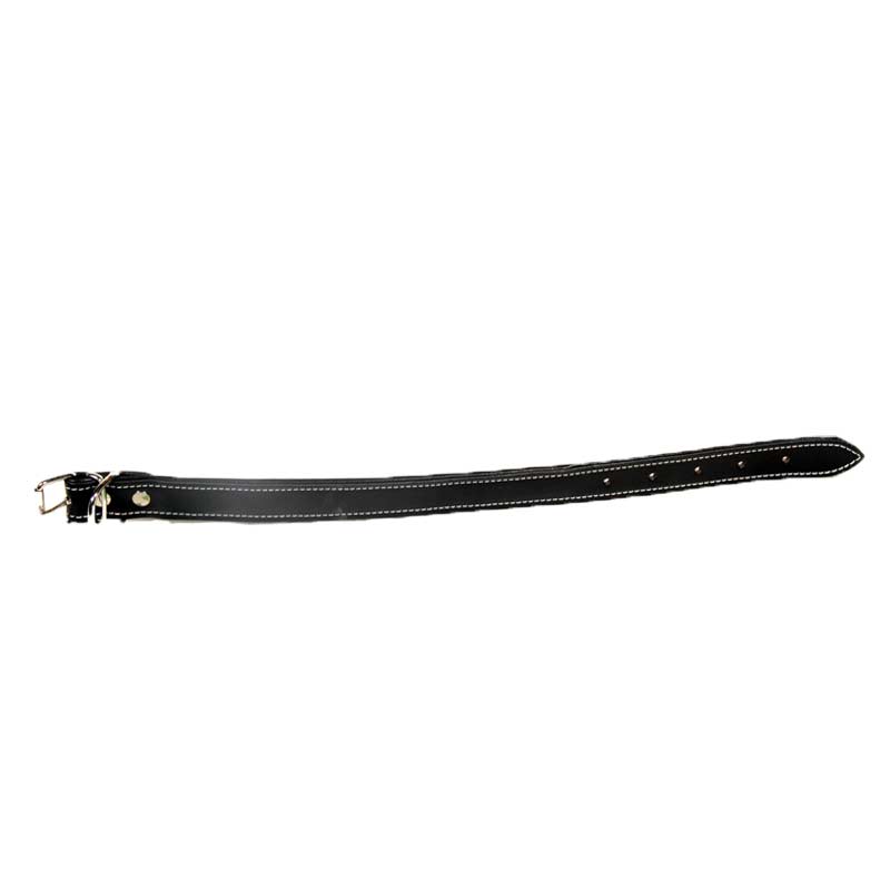 Collier Fodera ZANILOVE Pour Chien 2,5 x 65 cm - Noir
