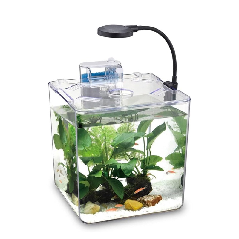 Aquarium NUBIOS De Bureau Pour Betta Format Carrré - DA-170 