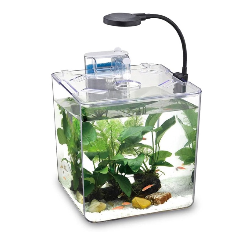 Aquarium NUBIOS De Bureau Pour Betta Format Carrré - DA-170  - Image 4
