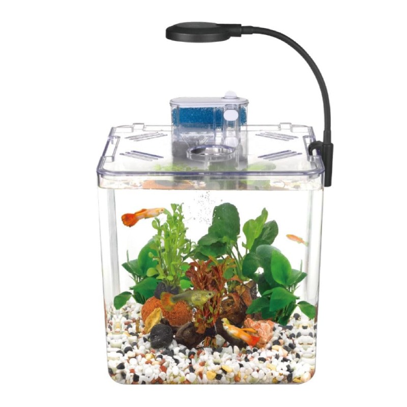 Aquarium NUBIOS De Bureau Pour Betta Format Carrré - DA-170  - Image 3