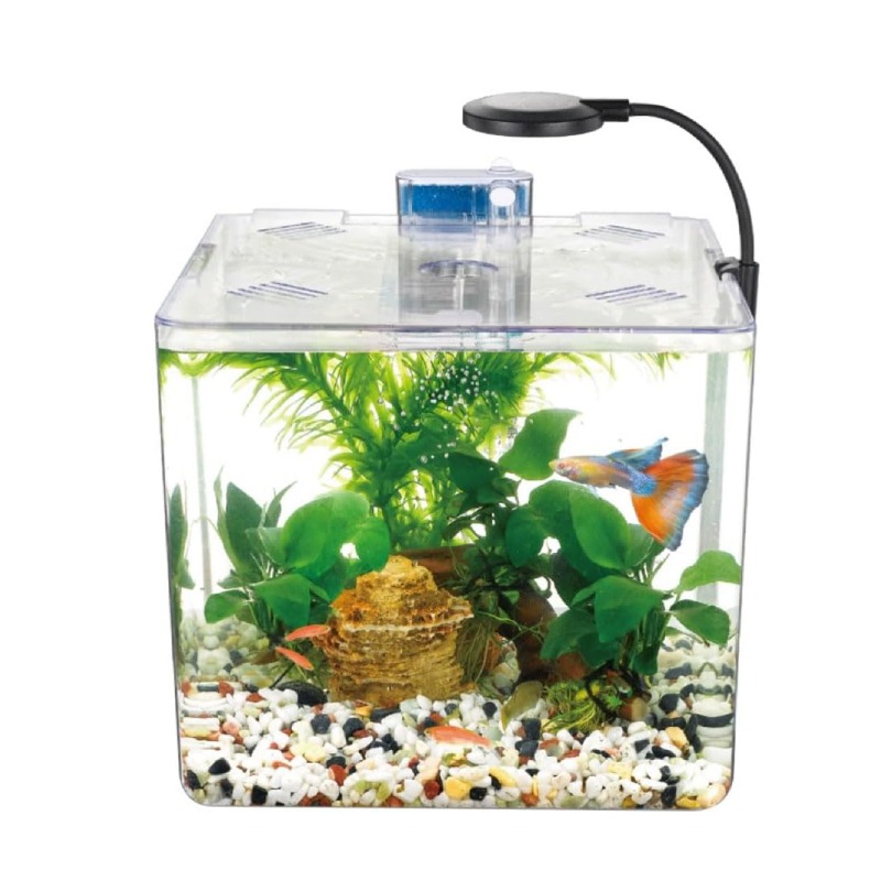 Aquarium NUBIOS De Bureau Pour Betta Format Carrré - DA-170  - Image 2