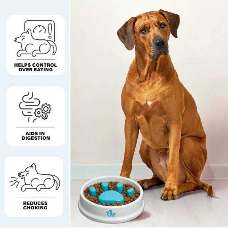 Bol d'Alimentation Lente pour Chiens et Chats - Bleu - Image 3