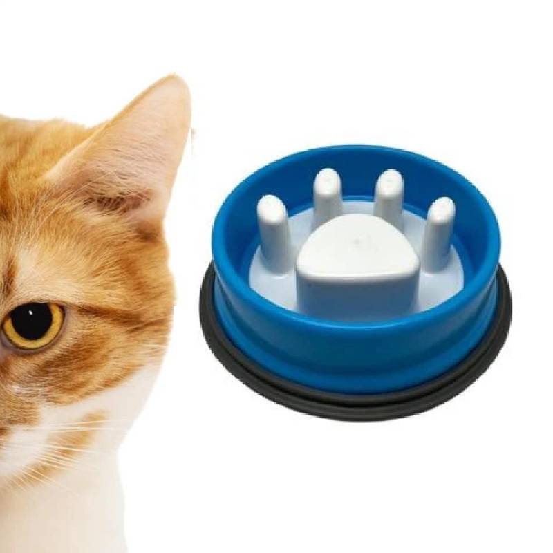 Bol d'Alimentation Lente pour Chiens et Chats - Bleu