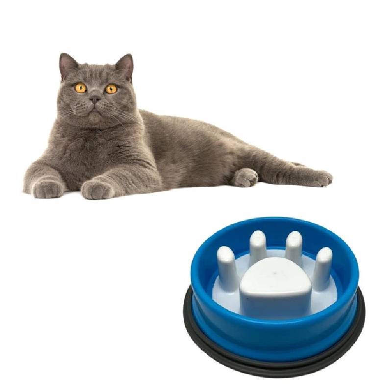 Bol d'Alimentation Lente pour Chiens et Chats - Bleu - Image 2
