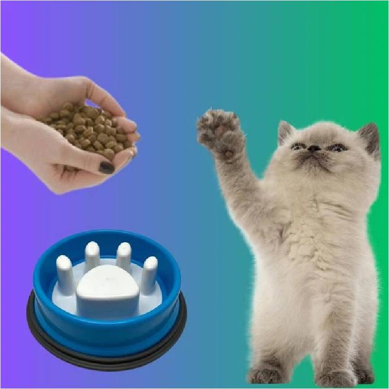 Bol d'Alimentation Lente pour Chiens et Chats - Bleu - Image 6