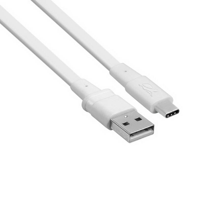 Câble de Charge RIVACASE1.2M USB-A VERS Type C Type C - Image 3