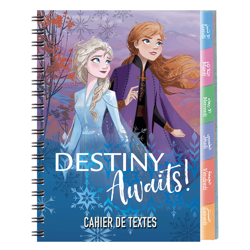 Cahier De texte YAMAMA DISNEY 94 Pages 90Gr 17X22 cm