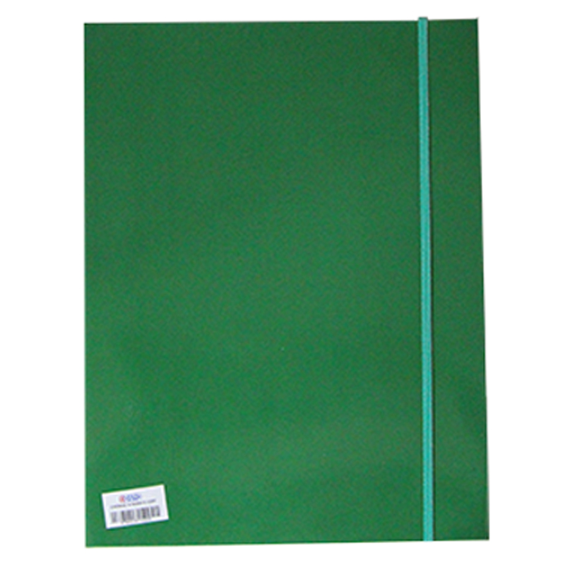 Chemise à Rabat en Polypropylène COSTO 201201 A4 + élastique - Vert
