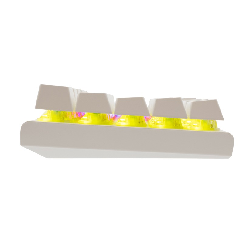 Clavier Gamer Filaire WHITE SHARK WAKIZASHI 2 US Blanc - Interrupteurs bleus - Image 4