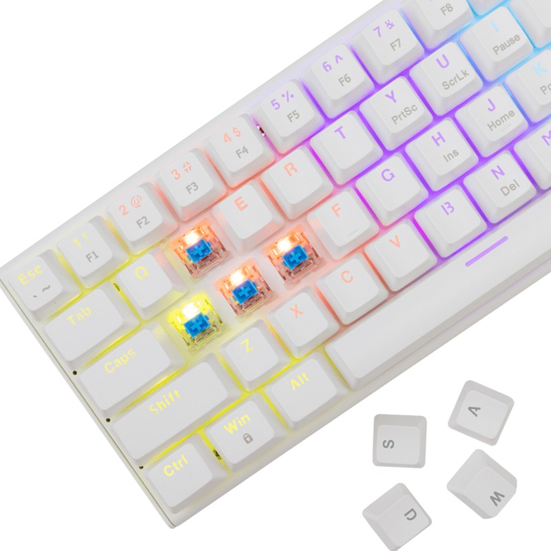 Clavier Gamer Filaire WHITE SHARK WAKIZASHI 2 US Blanc - Interrupteurs bleus - Image 3