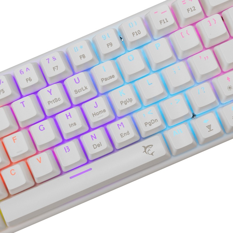 Clavier Gamer Filaire WHITE SHARK WAKIZASHI 2 US Blanc - Interrupteurs bleus - Image 2