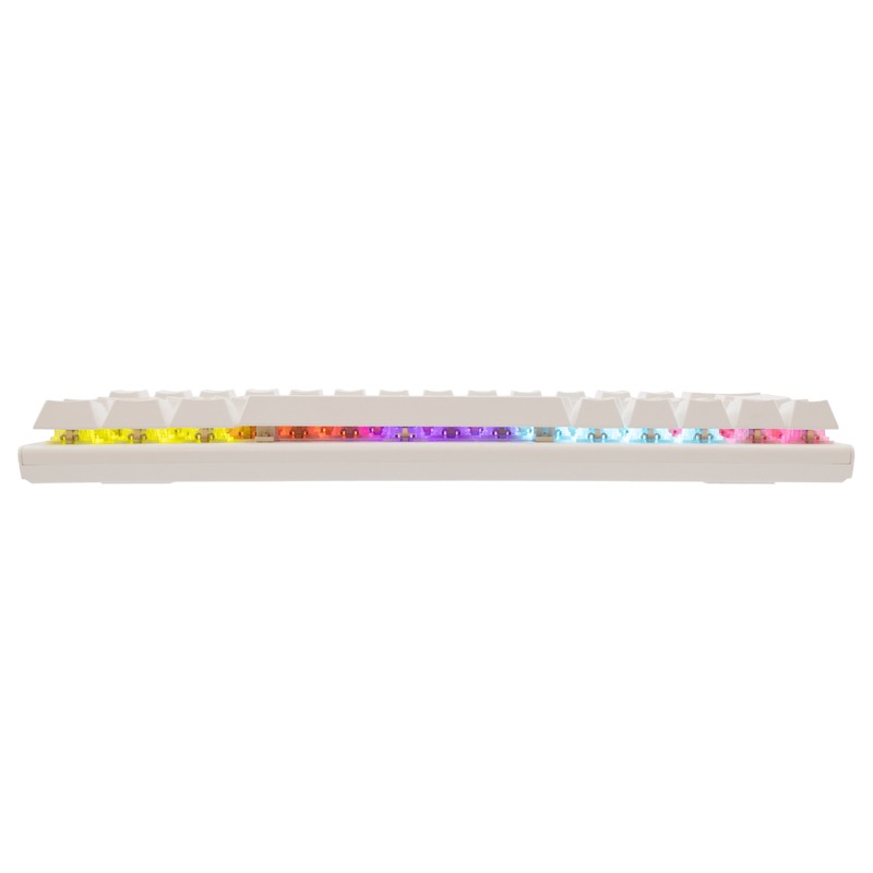 Clavier Gamer Filaire WHITE SHARK WAKIZASHI 2 US Blanc - Interrupteurs bleus - Image 5