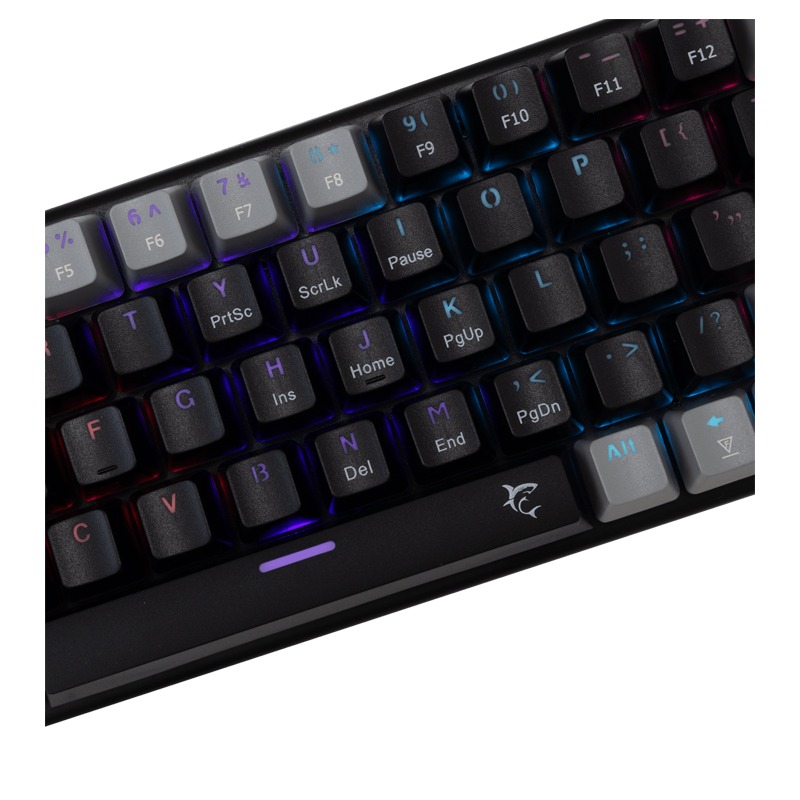 Clavier Gamer Filaire WHITE SHARK WAKIZASHI 2 US Noir/Gris - Interrupteurs bleu - Image 2