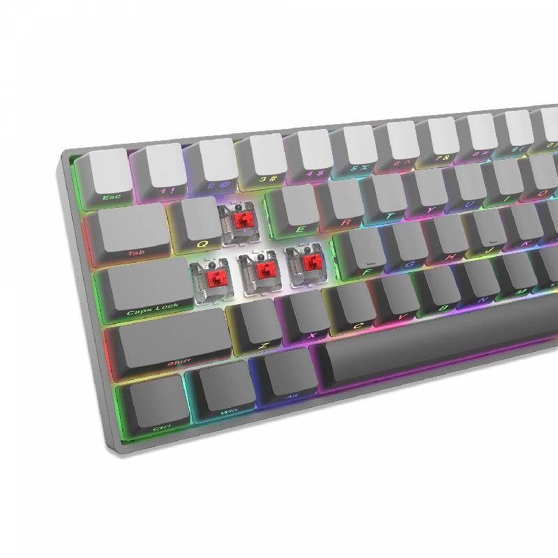Clavier Gamer WHITE SHARK RGB NUNCHAKU US Gris - GK-007711 - Image 4