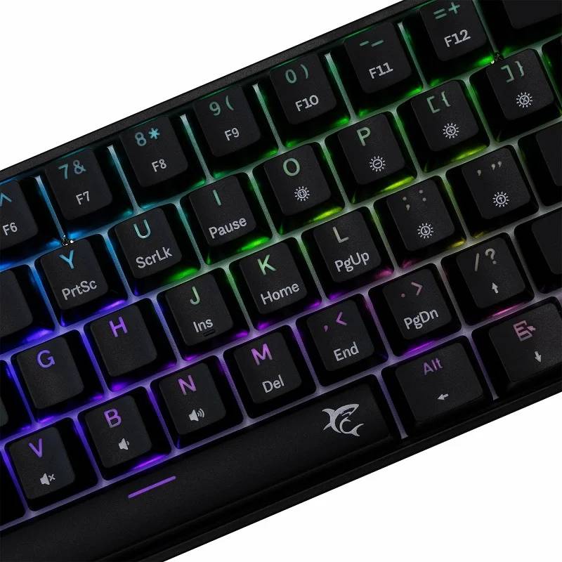 Clavier Mécanique Gaming White Shark SHINOBI 2 Switch Blue - Noir - Image 2
