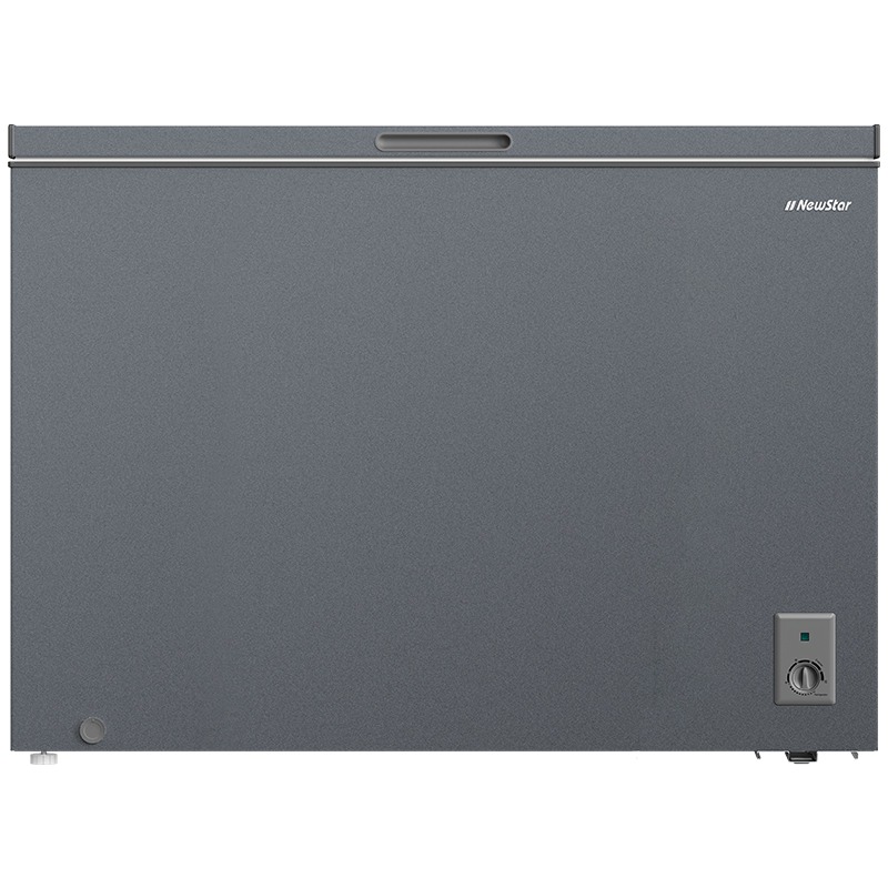 Congélateur Horizontal NEWSTAR CG340S 340 Litres - Silver