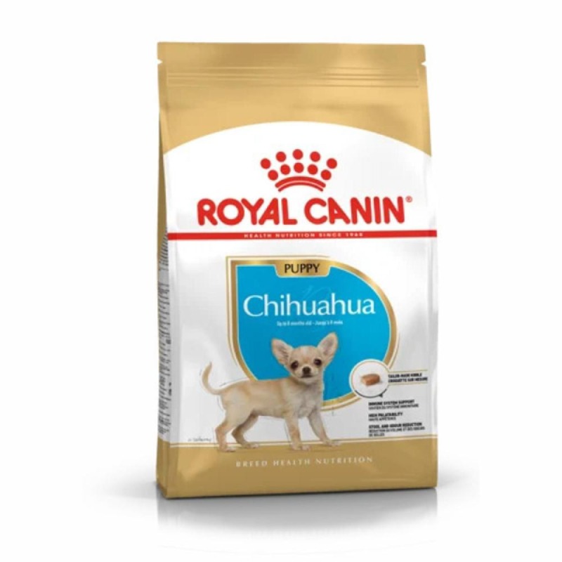 Croquettes Pour Chiots ROYAL CANIN Chihuahua Puppy - 500g - Image 2