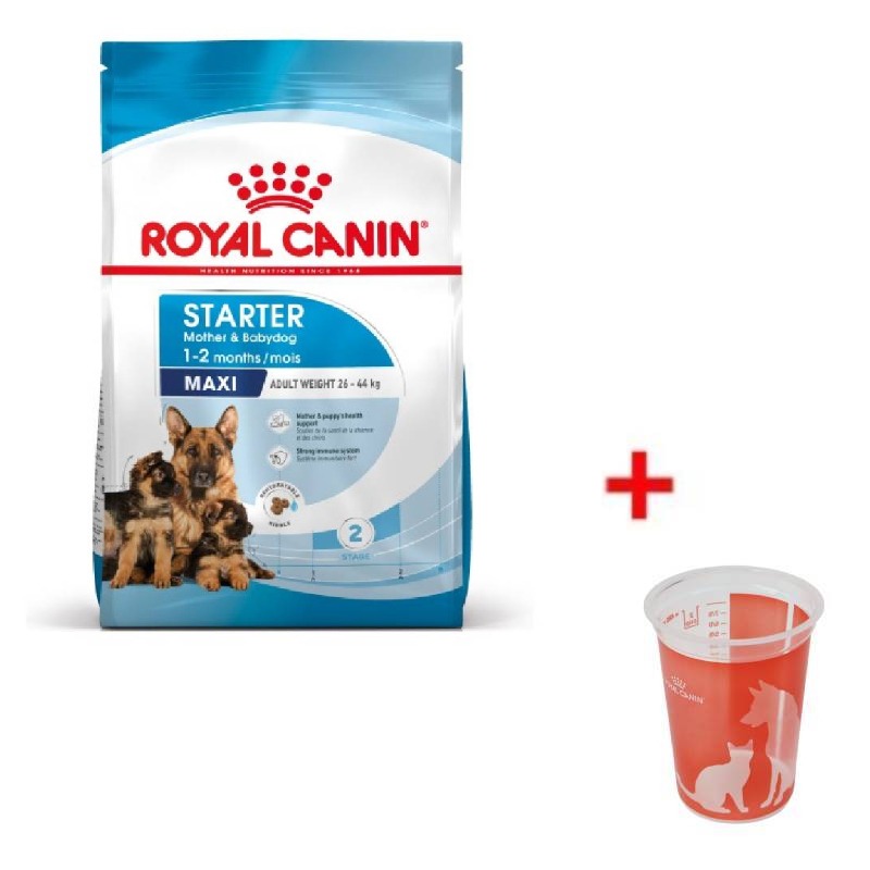 Croquettes Royal Canin Maxi Starter Mother & Babydog - 4 kg