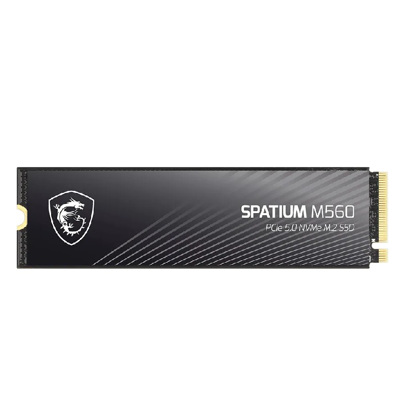 Disque Dur interne MSI SPATIUM M560 1To SSD PCIe 5.0 NVMe M.2 - Image 2