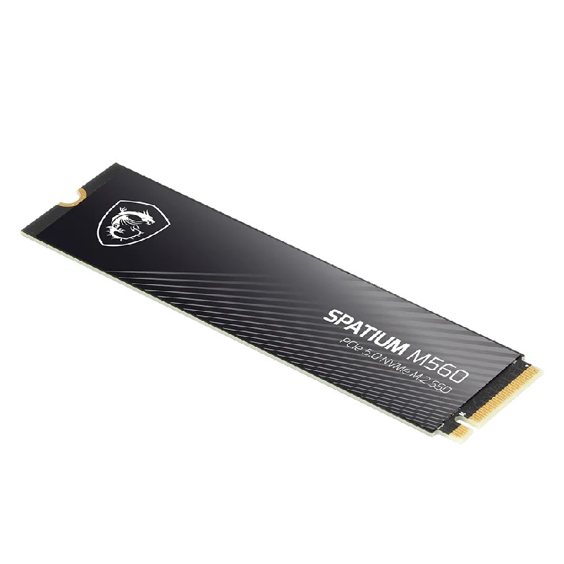 Disque Dur interne MSI SPATIUM M560 1To SSD PCIe 5.0 NVMe M.2 - Image 4