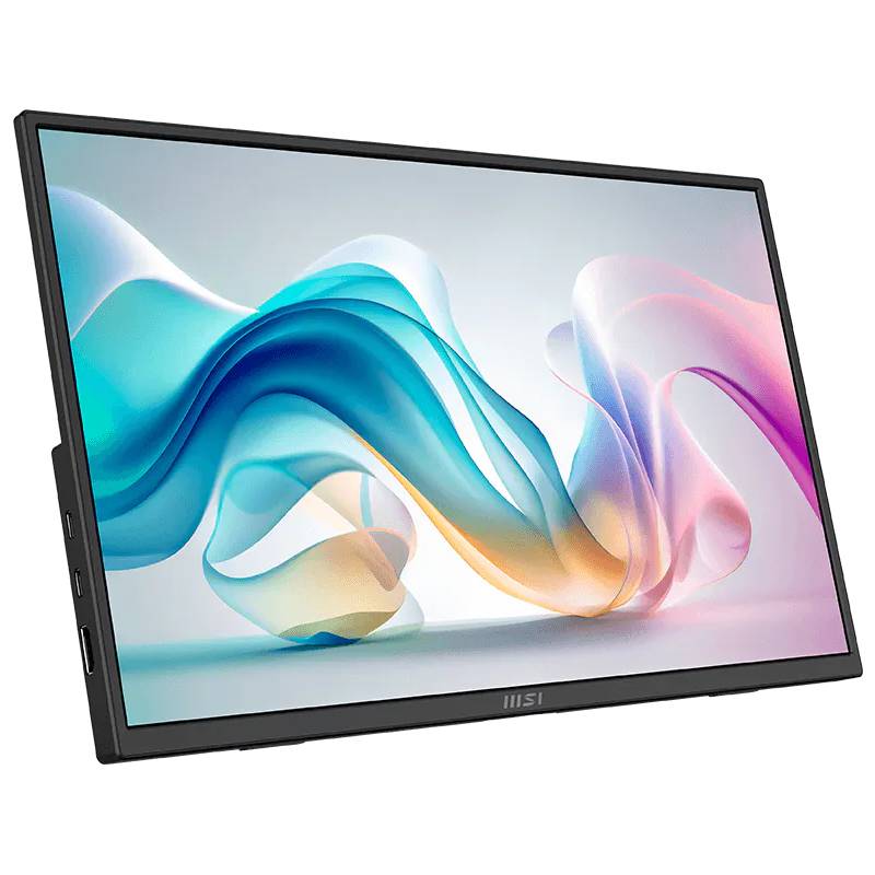 Ecran Portable MSI PRO MP165 E6 15.6" Full HD IPS 60 Hz - Image 2