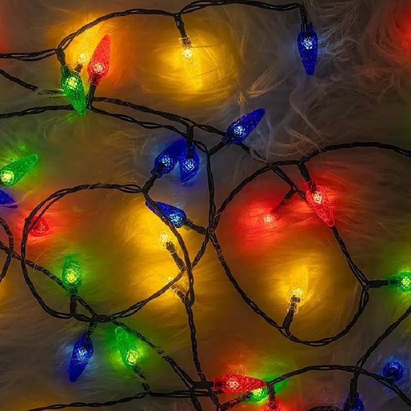 Guirlande Lumineuse Forever Light 100 LED 8m Pomme de Pin - Image 2